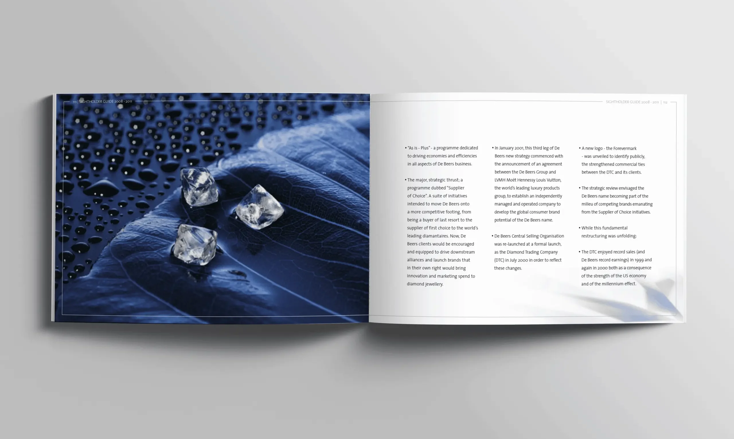 - WarmRed Creative coffee table book open to a two-page spread with a blue-toned leaf featuring water droplets and clear crystals on the left and text on the right